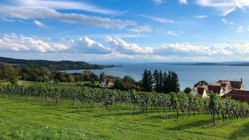 Die schönsten Rennradtouren am Bodensee Die schönsten Rennradtouren am Bodensee