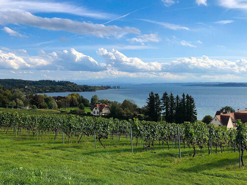 Die schönsten Rennradtouren am Bodensee  Die schönsten Rennradtouren am Bodensee