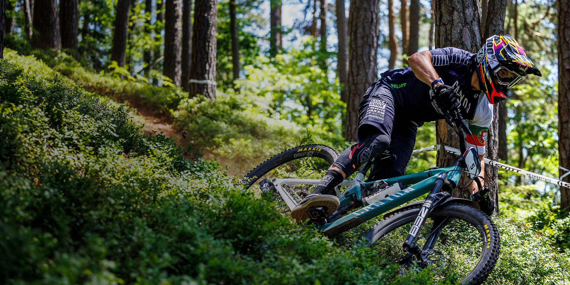 Die schönsten MTB-Touren im Harz