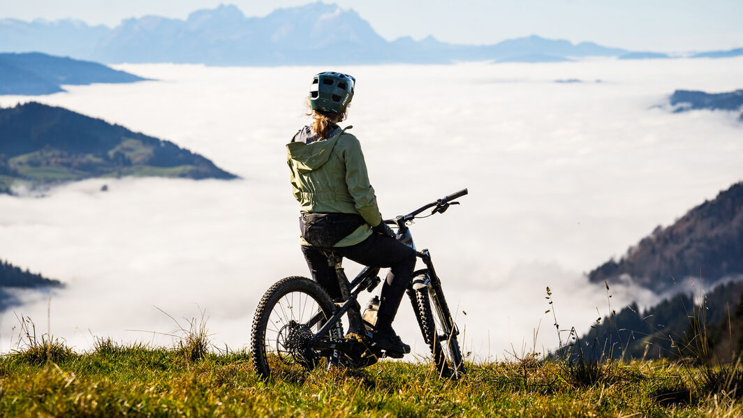Was hilft gegen Pollen in die Fahrradsaison Was hilft gegen Pollen in die Fahrradsaison