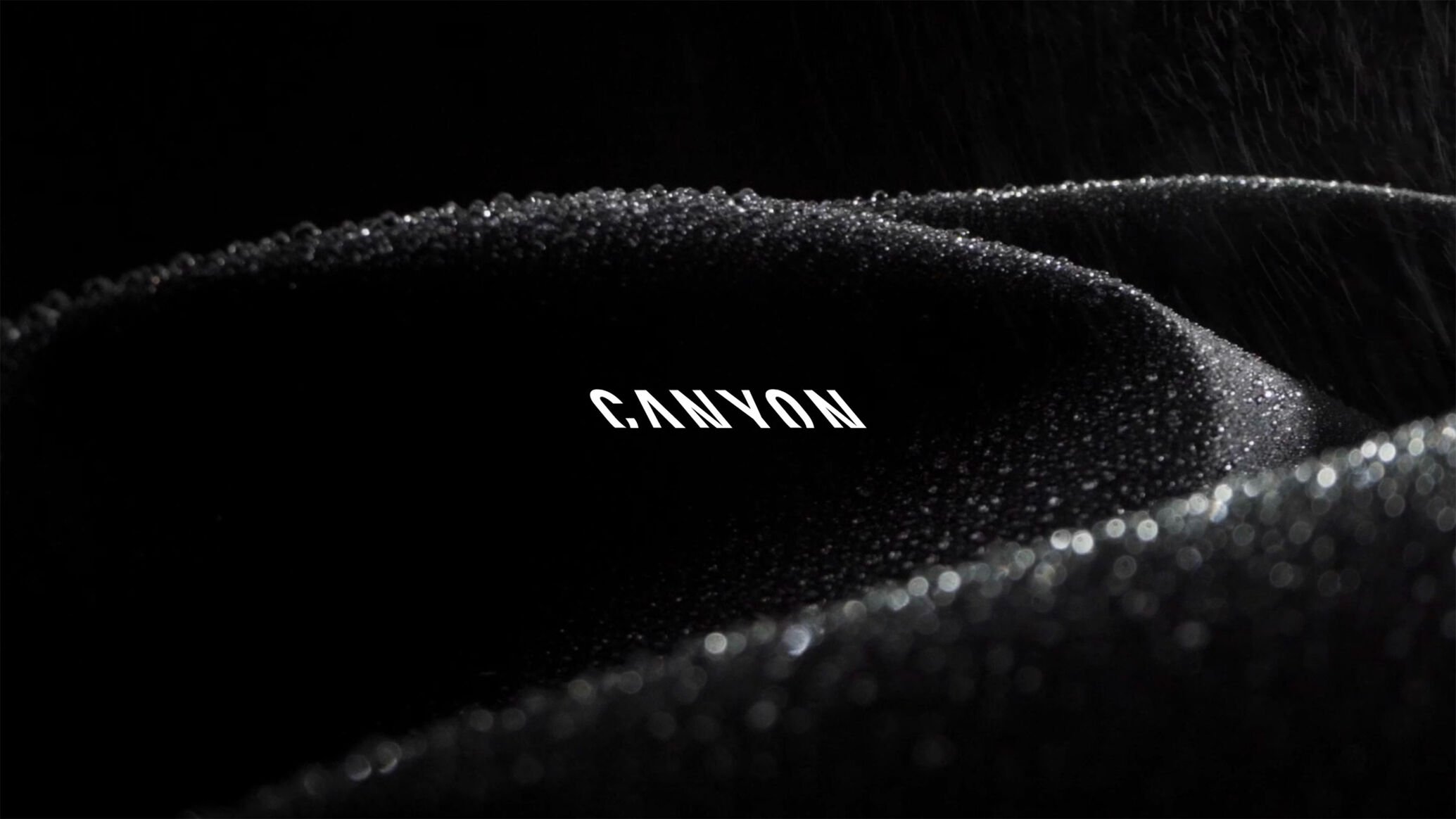 Canyon DEFEND+ System