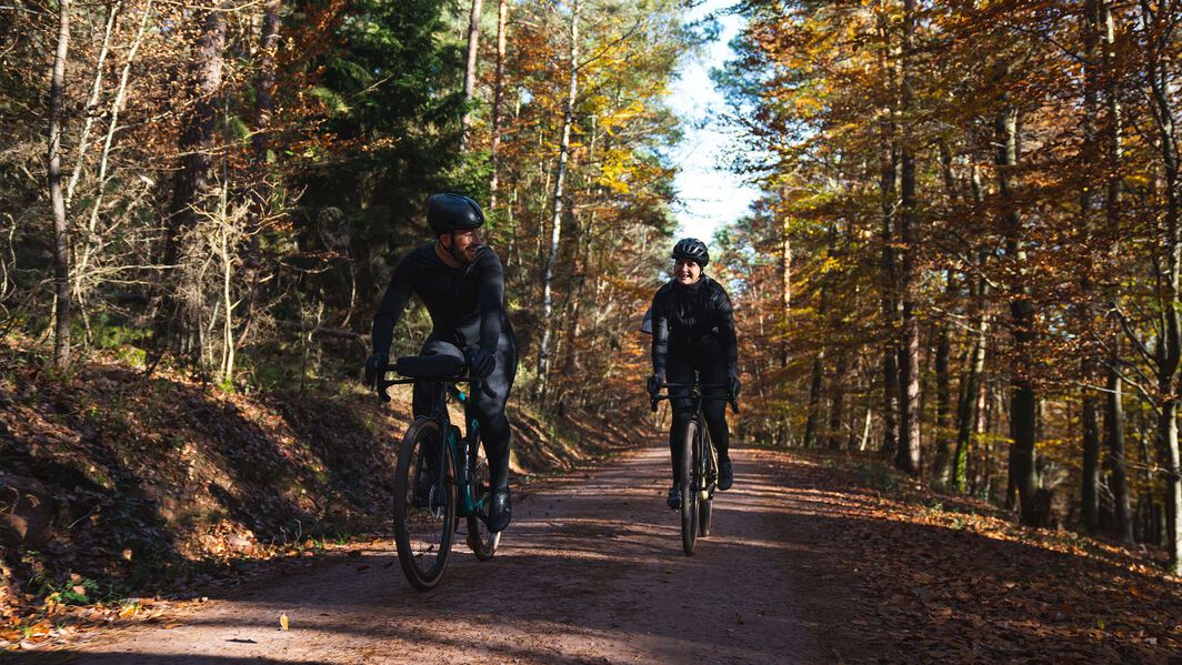 Gravel Strecken durch die Pfalz Gravel Strecken durch die Pfalz