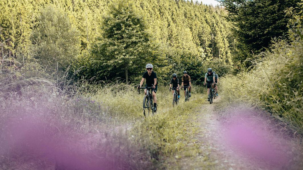 Die 5 Besten Gravel Touren durch Sachsen 