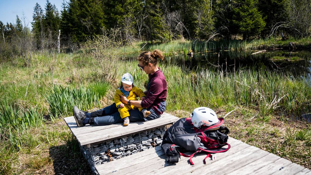 How to go bikepacking with a child How to go bikepacking with a child