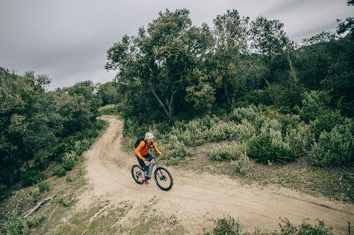 Die besten E-Bike Touren im Münsterland Die besten E-Bike Touren im Münsterland