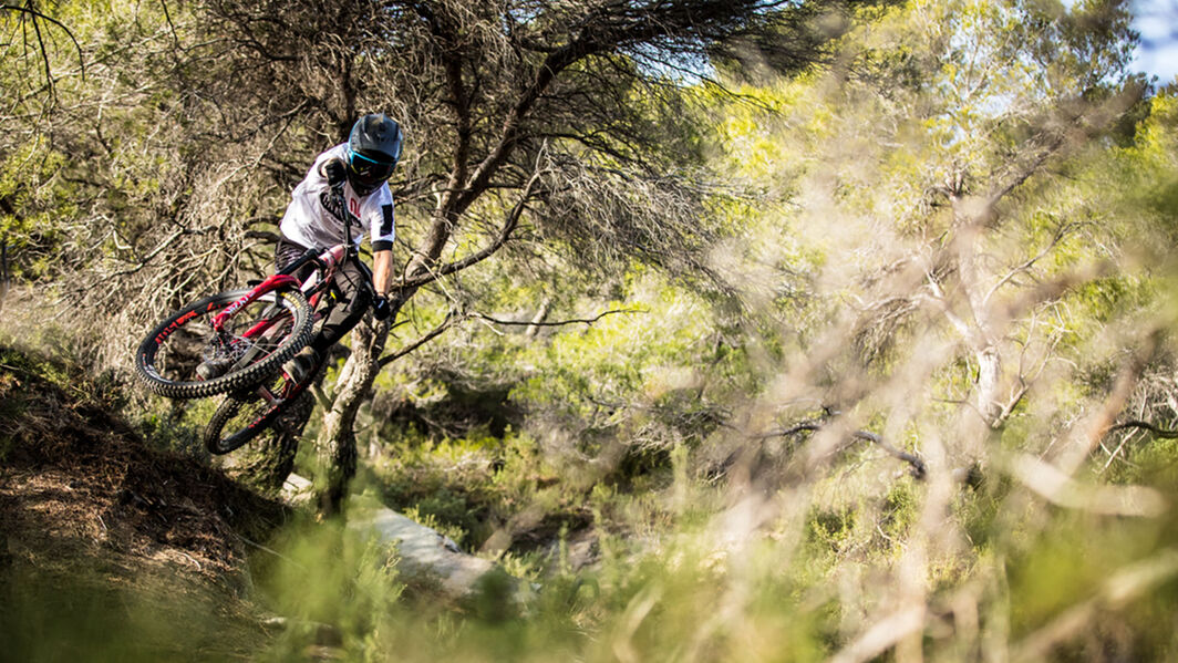 Spectral vs Strive vs Torque / Photo: Canyon.com Spectral vs Strive vs Torque / Photo: Canyon.com