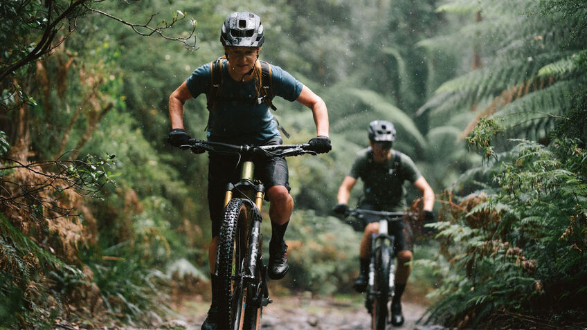 Through the forest on the Canyon Neuron