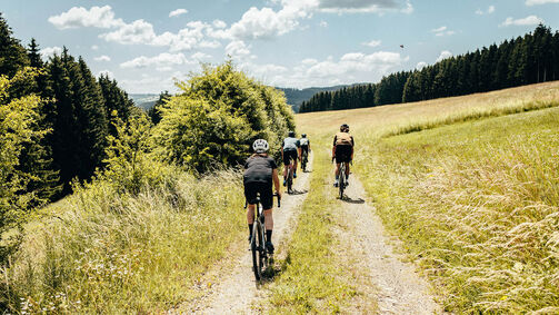 Which bike is right for me? A guide to bicycle types Which bike is right for me? A guide to bicycle types