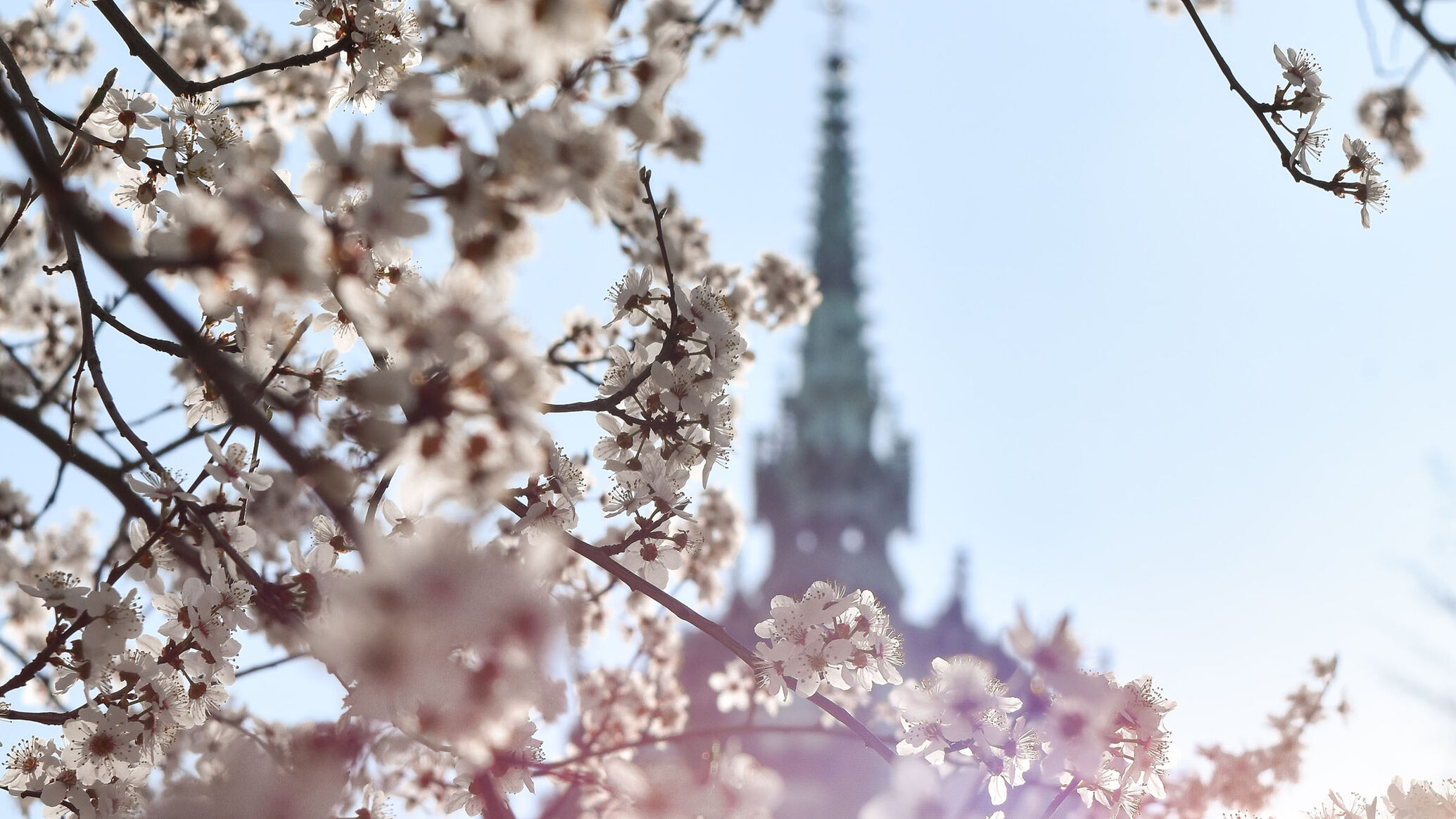Die 5 sch&ouml;nsten Radtouren in Leipzig