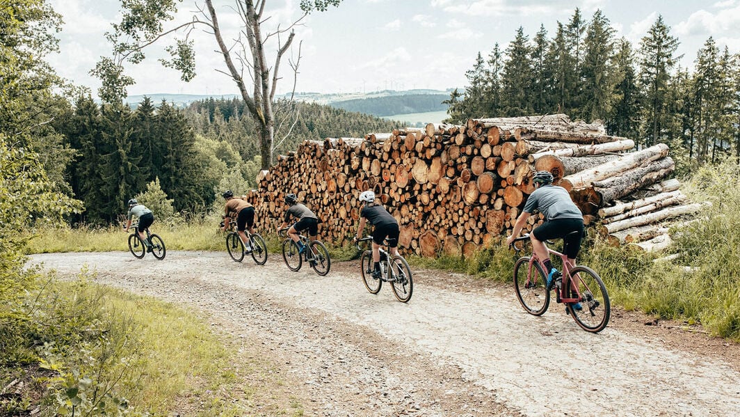 Die besten Gravel Bike Touren im Harz Die besten Gravel Bike Touren im Harz