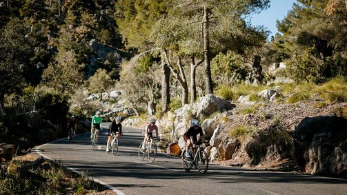 Die besten Rennradtouren auf Mallorca 