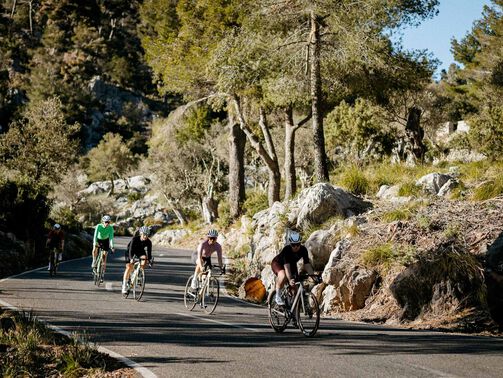 Die besten Rennradtouren auf Mallorca  Die besten Rennradtouren auf Mallorca