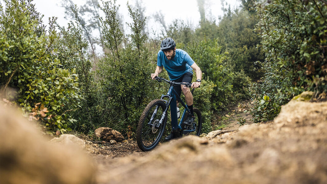 E-Bike Tour durch den Schwarzwald E-Bike Tour durch den Schwarzwald