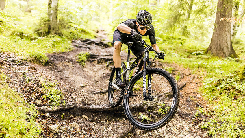 Die schönsten MTB-Strecken im Harz