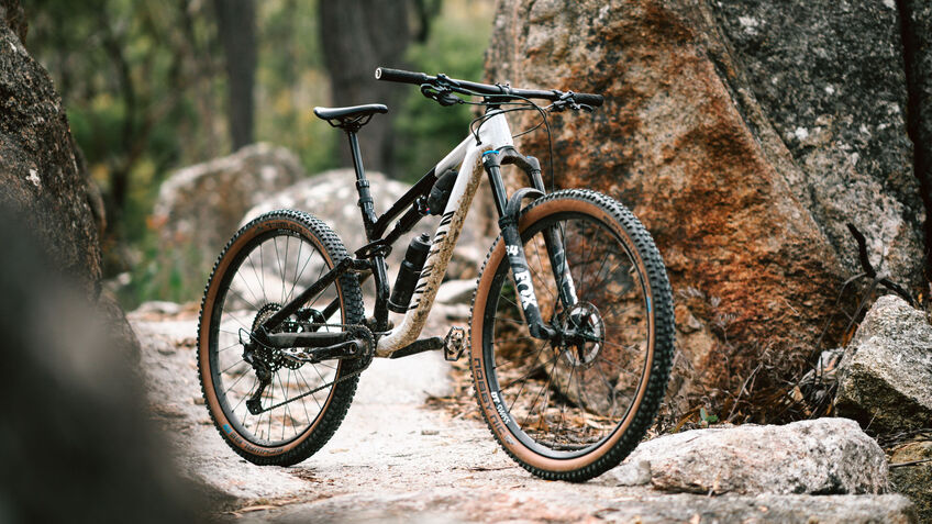 The Canyon Neuron can handle any terrain