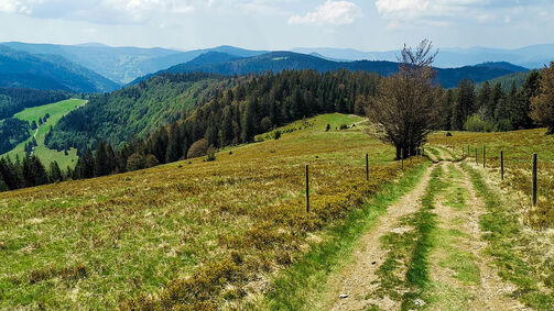 Die schönsten E-Bike Touren im Schwarzwald Die schönsten E-Bike Touren im Schwarzwald