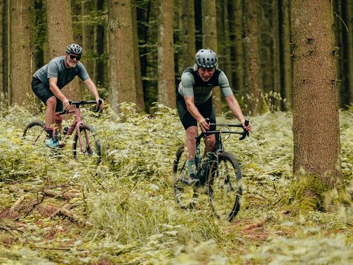 Die 5 schönsten Gravel Touren in Sachsen  Die 5 schönsten Gravel Touren in Sachsen