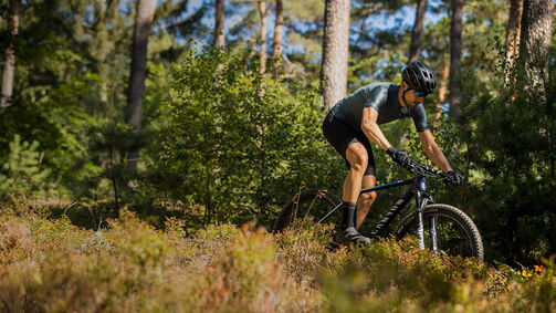 Die schönsten Mountainbike-Touren in Bayern Die schönsten Mountainbike-Touren in Bayern