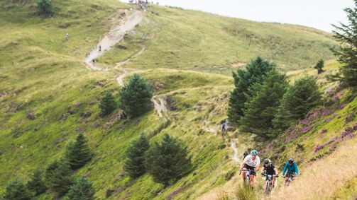 Die besten Gravel Bike Touren im Harz Die besten Gravel Bike Touren im Harz