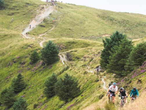 Die besten Gravel Bike Touren im Harz Die besten Gravel Bike Touren im Harz