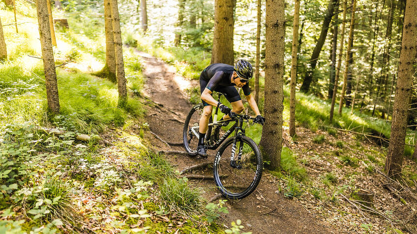 Die schönsten MTB-Strecken im Harz