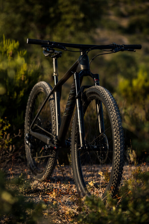 Canyon Exceed