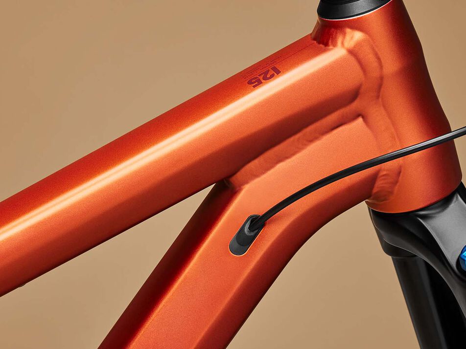 Canyon Spectral 125 AL
