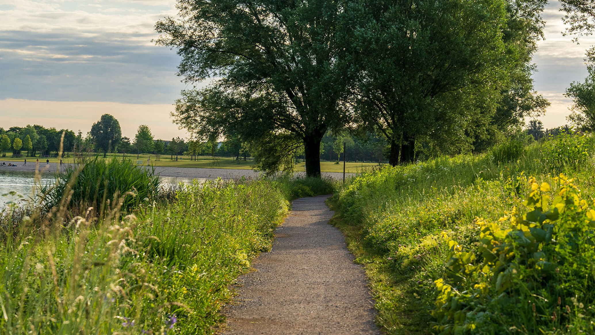 Die besten Gravel Touren in M&uuml;nchen und Umgebung 