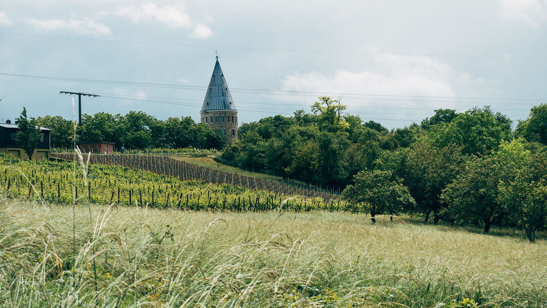 Die besten Gravel Touren in Hessen: Ein Schotterparadies mitten in Deutschland Die besten Gravel Touren in Hessen: Ein Schotterparadies mitten in Deutschland