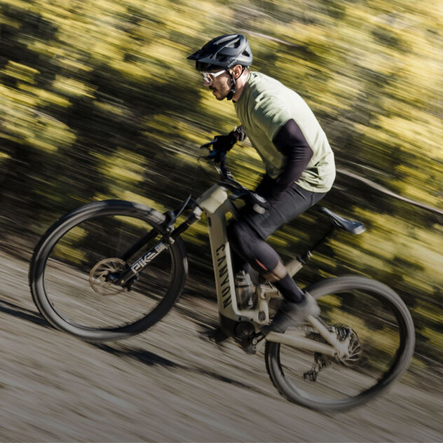 Ebike support