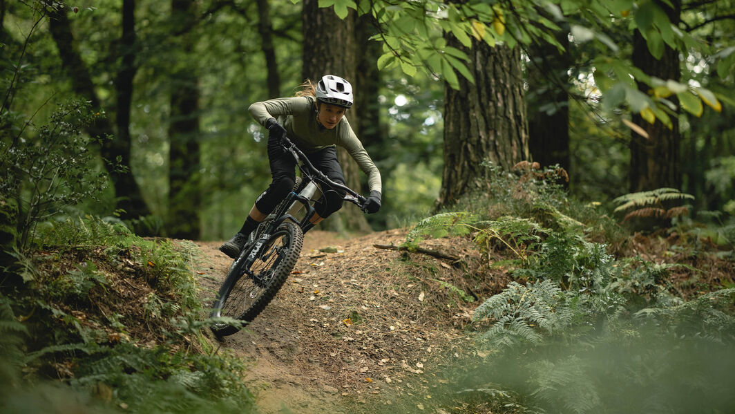 MTB Strecken im Pfälzerwald MTB Strecken im Pfälzerwald