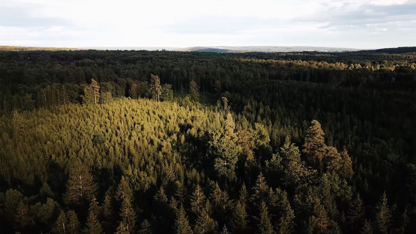 Exploring Sweden by gravel bike 