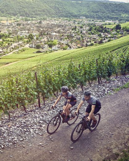 Gravel Bikes