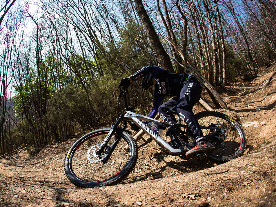 Canyon Strive CFR