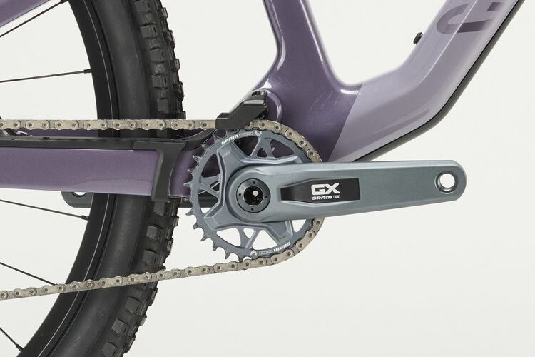 Neuron CF 8 Neuron CF 8