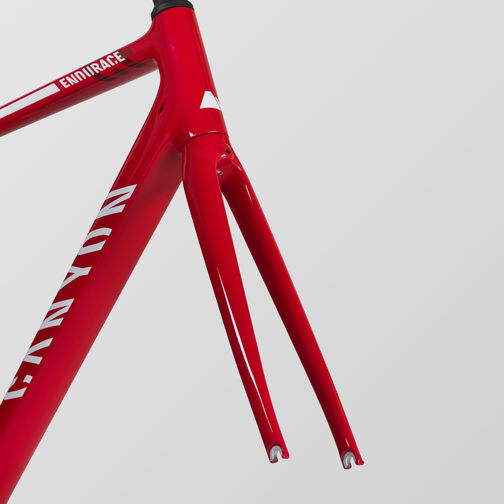 Endurace CF Frameset Endurace CF Frameset