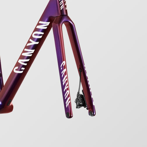 Ultimate CFR Disc Frame and Brake Kit Ultimate CFR Disc Frame and Brake Kit