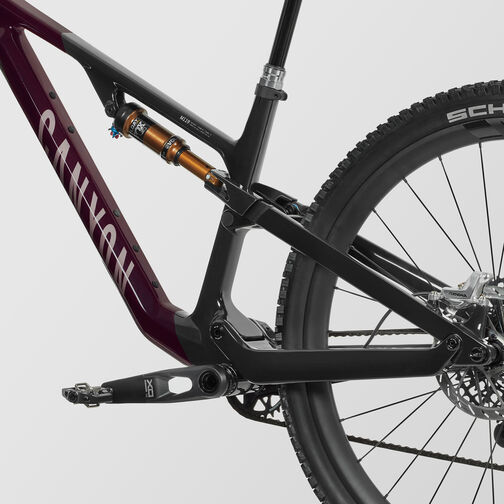 Neuron CF LTD Neuron CF LTD