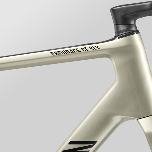 Endurace CF SLX 8 AXS AR60 Endurace CF SLX 8 AXS AR60