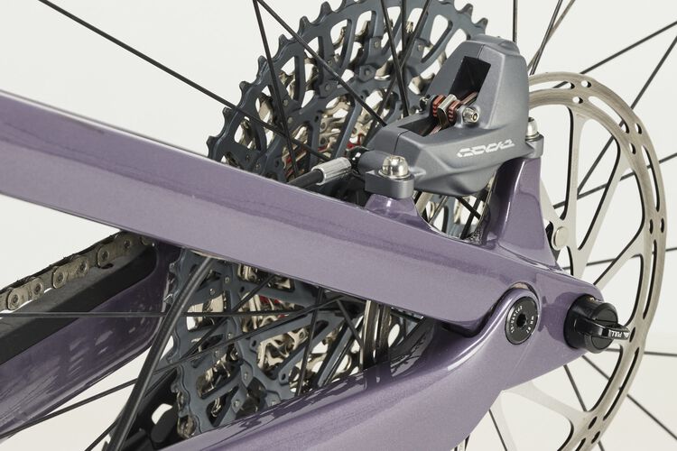 Neuron CF 8 Neuron CF 8