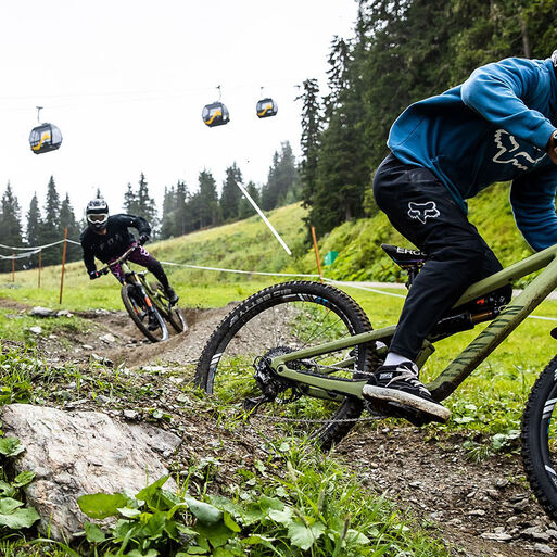 VTT Mulet VTT Mulet