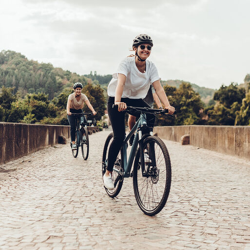 Damen Crossbikes Damen Crossbikes