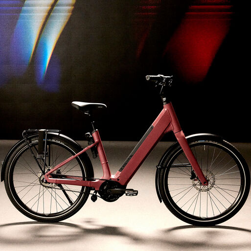 Rote E-Bikes Rote E-Bikes