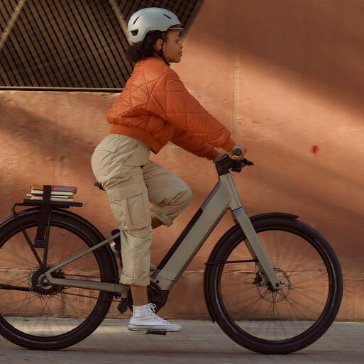 Electric Bikes with Bosch motor Electric Bikes with Bosch motor