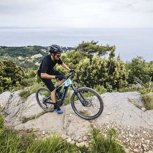 Herren E-Mountainbikes Herren E-Mountainbikes