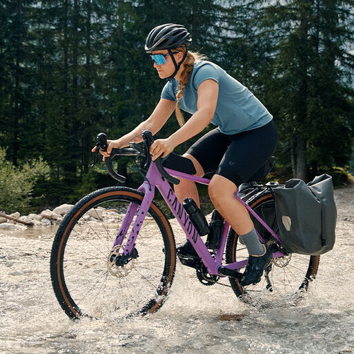 Purple Bikes Purple Bikes