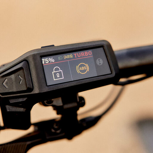 Orangene E-Bikes Orangene E-Bikes